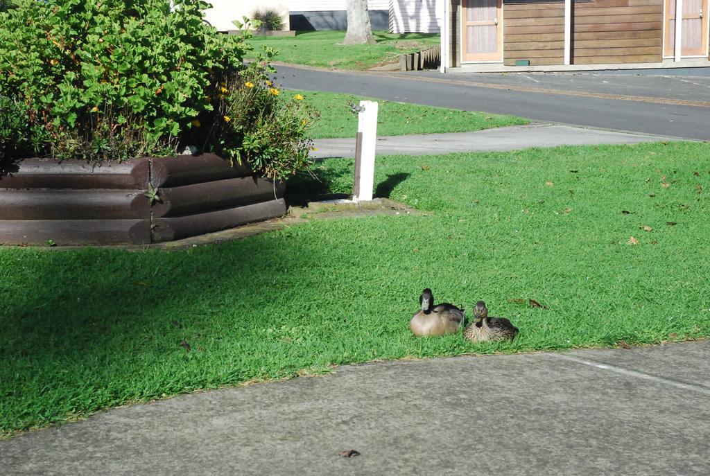 Avondale Motor Park Hotel Auckland Bagian luar foto